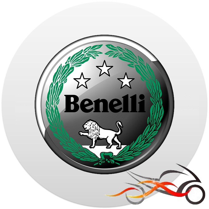 Benelli ECU-flash